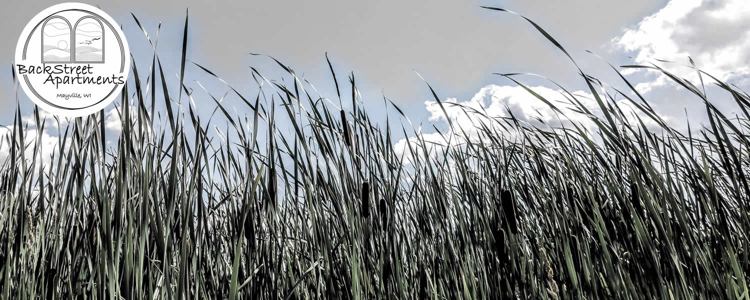 Backstreet Apartments Mayville WI